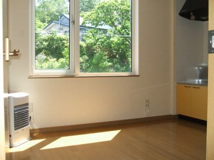 Living and room. It is a dazzling sunlight!