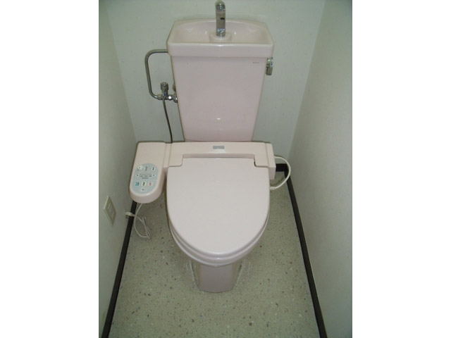 Toilet