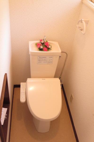 Toilet. Shower with toilet (toilet seat new)