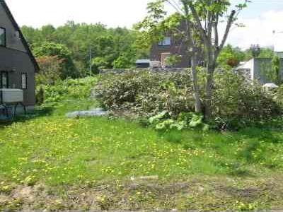 Local land photo