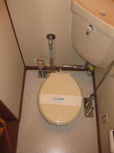 Toilet