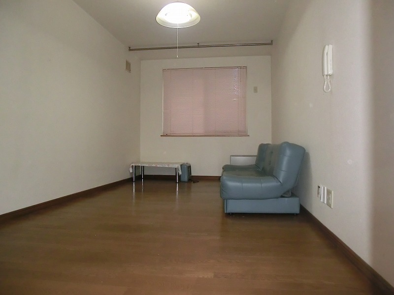 Other Equipment. Leather sofa, With low table