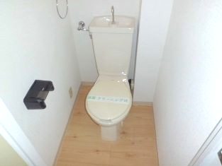 Toilet. It is another issue indoor view