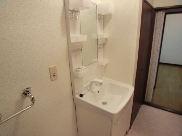 Washroom. Washbasin with shower