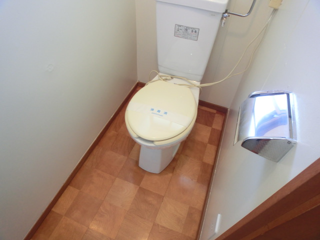 Toilet. Toilet floor also is a new article! 