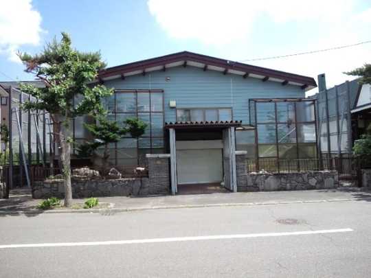 Local land photo. Appearance (1)