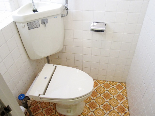 Toilet