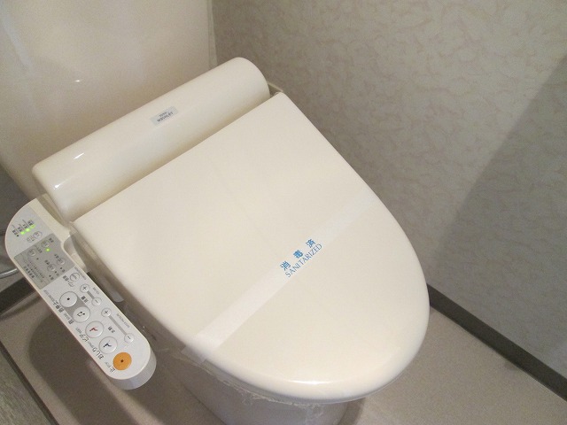 Toilet. Bidet