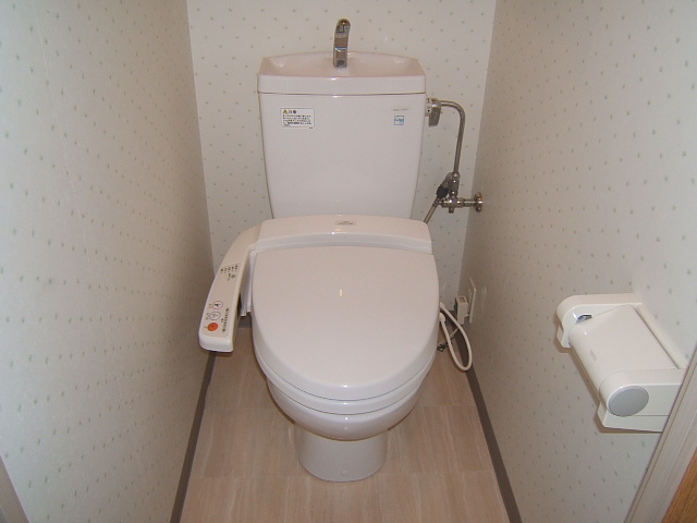 Toilet. Also has a bidet