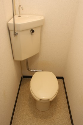 Toilet. It is properly cleaned already! 