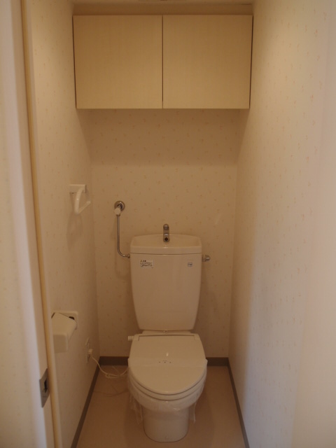 Toilet. A clean toilet! It is spacious and! 