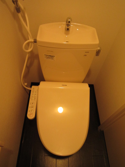 Toilet. Interior image is a photo. 