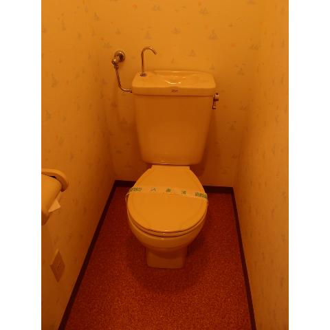 Toilet. We also spacious and taking toilet space! 