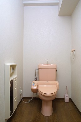 Toilet. Toilet