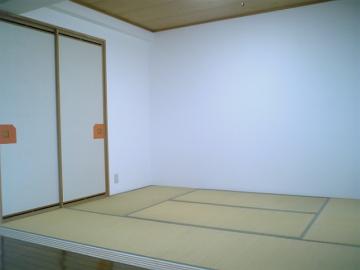 Other room space. Japanese style room