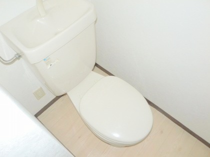 Toilet. This you rent spacious in the living room is a charming sunny! ! 