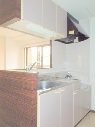 Kitchen. This you rent spacious in the living room is a charming sunny! ! 