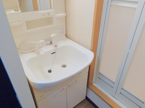 Washroom. Bathroom vanity