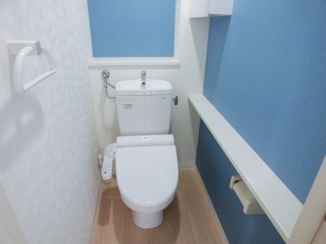 Toilet. Toilet space with a cleanliness! 