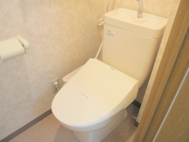 Toilet. Shower WC