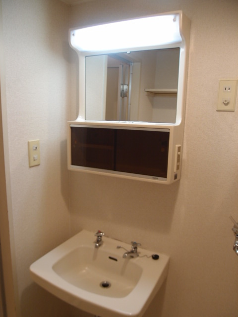Washroom. Mirror and is with housed in a wash basin! Nearby there is also an electrical outlet! 