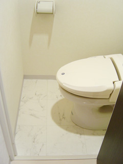 Toilet. Bidet equipped