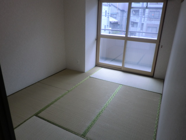 Other room space. Japanese style room