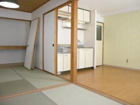 Living and room. Japanese style room