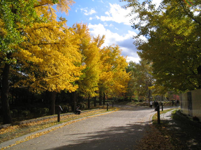 park. 600m to walk (park) in Nakajima