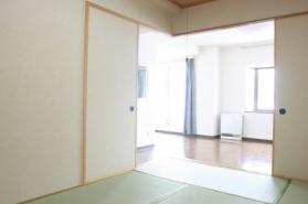 Other room space. Japanese style room