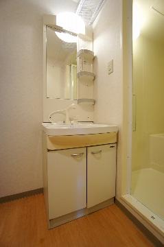 Washroom. Bathroom Vanity