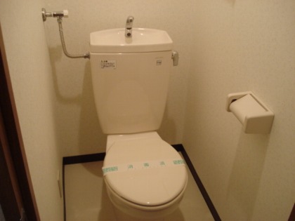 Toilet. Toilet