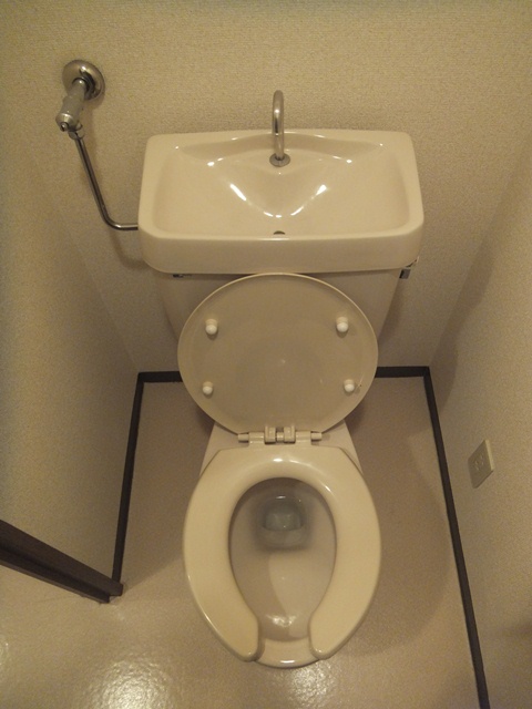 Toilet. Toilet