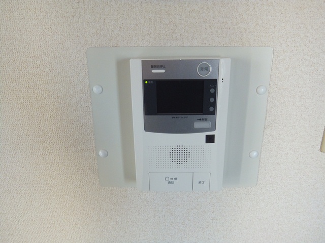 Security. TV monitor with intercom