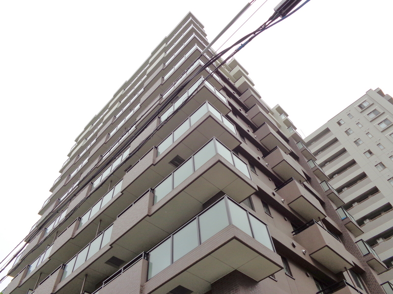 Building appearance. 11-storey apartment