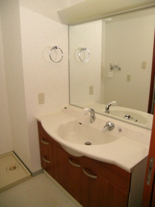 Washroom. Spacious vanity