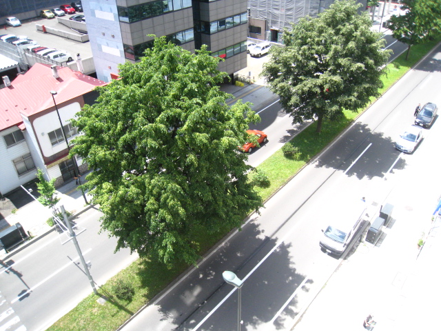 View. Odori Park overlooking