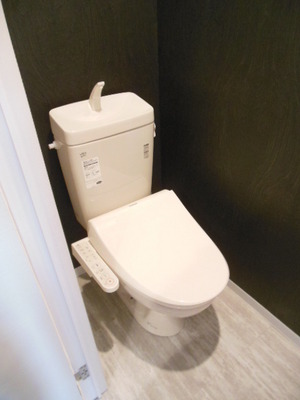 Toilet. Toilet (with cleaning toilet seat)