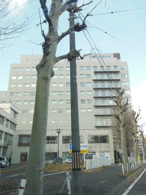Hospital. NTT 941m to East Sapporo Hospital (Hospital)