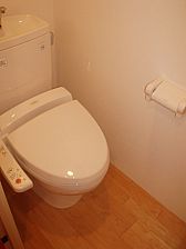 Toilet. With Washlet