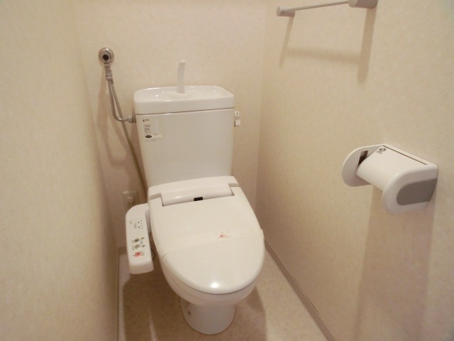 Toilet. Shower toilet