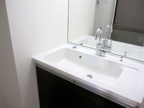 Washroom. Bathroom vanity