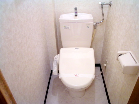 Toilet. Shower WC