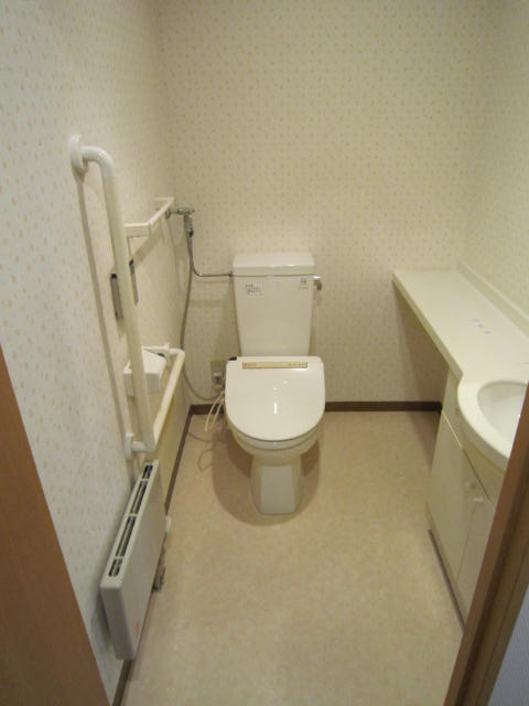 Toilet. Friendly toilet space even to the elderly!