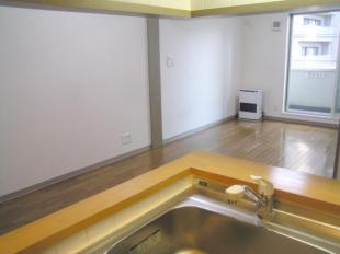 Kitchen. Face-to-face kitchen