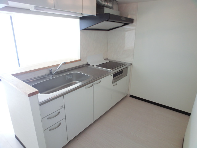 Kitchen. Large sink! 3-neck IH system kitchen ☆ 