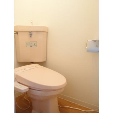 Toilet. As good as new shiny Washlet toilet! 