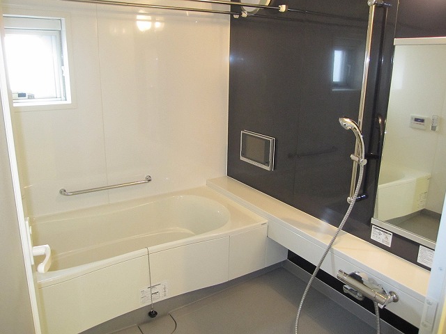 Bath. A large bathroom, tv set, With window