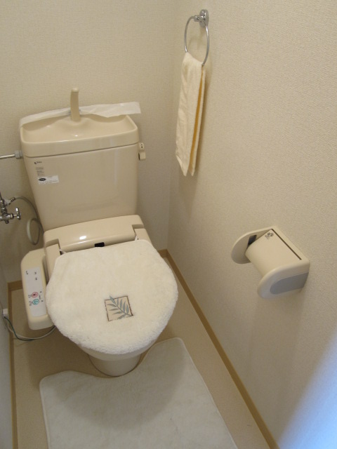 Other Equipment. Happy Washlet toilet when there