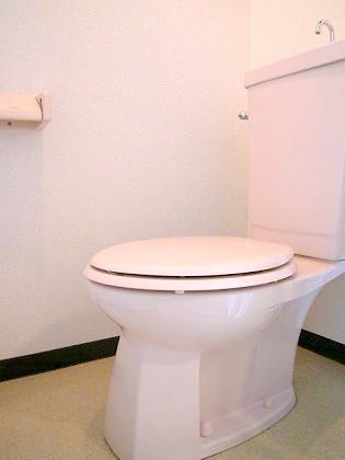 Toilet. It is beautiful in the pre-disinfection ☆ 